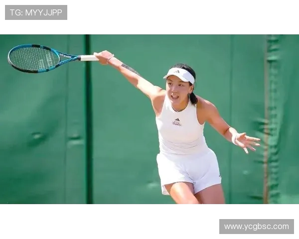 杭州排球队总决赛精彩表现分析与未来展望